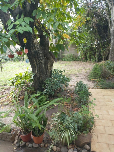 Imagen 14 de 23 de Casa Con Terreno En