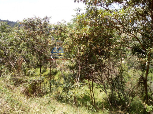Imagem 4 de 10 de Terreno Em Vista Alegre - Arujá - 196