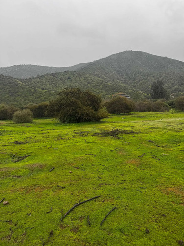 Parcelas De Agrado 10000 M2 Curacavi Ruta 68 (176809)