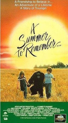 Un Verano Para Recordar A Summer To Remember Vhs Sin Caja