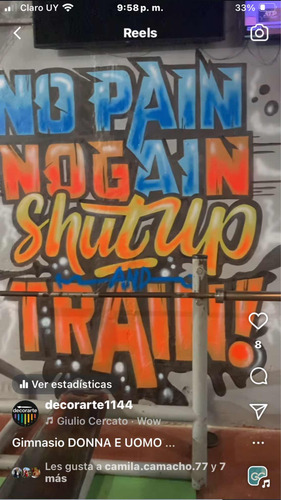 Grafitis, Murales, Pintor De Letras, Carteles, Pasacalles
