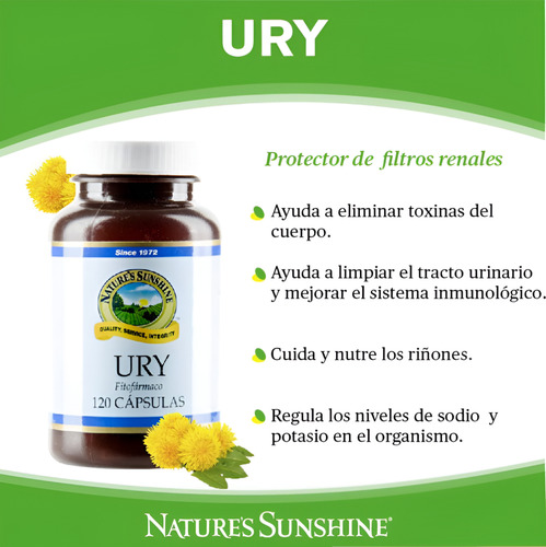 Ury - Sistema Urinario
