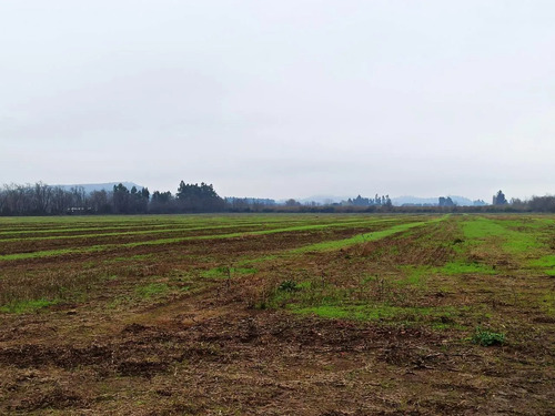 Terreno Agrícola En Venta, Campo De 16,4 Ha, San Clemente