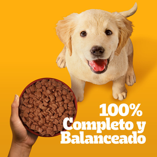 24 Sobres Pedigree Para Cachorros De Res En Filetes 100g C/u