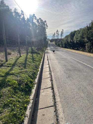 Tres Sitios Urbanos Camino Dolores Jeria Navidad A Matanzas