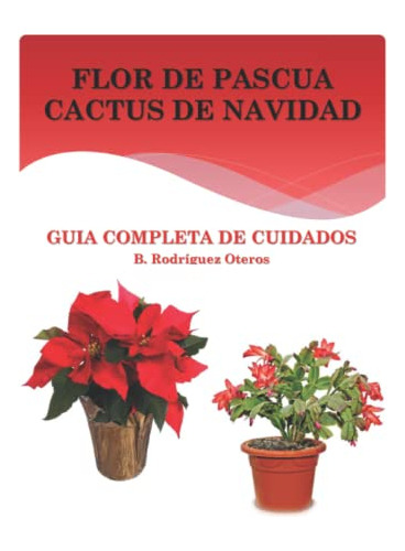 Flor De Pascua Cactus De Navidad: Guia Completa De Cuidados