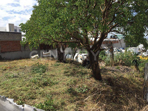 Renta Terreno Zona Recta Y Esteban De Antuñano