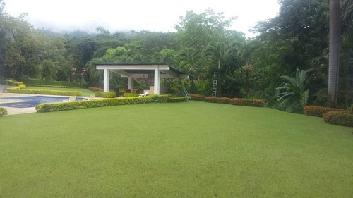 Imagen 6 de 11 de Finca Santa Fe De Antioquia 3.500 Mts 1.300 Millones