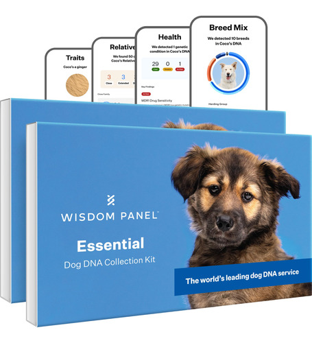 Wisdom Panel Kit De Adn Esencial Para Perros: La Prueba Mas
