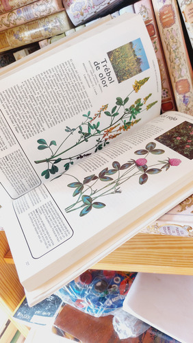 Plantas Medicinales Virtudes Insospechadas Readers Digest (Usado)