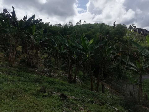 Imagen 10 de 30 de Vendo Finca En Avenida Condina Precio De Oportunidad