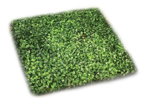 Hiedra Artificial Para Pared Galipán Verde Clara 50x50 Cm