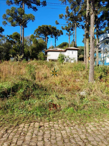 Imagem 13 de 13 de Terreno A Venda Jardim Dos Pinheiros Ii - 864