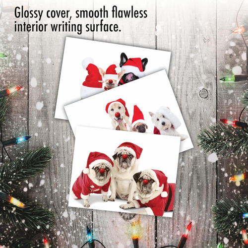 Happy Howling Days Am9562hhg-b2x10-us - 20 Tarjetas De ...
