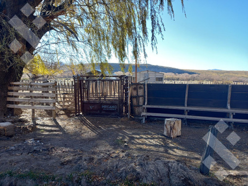 Venta De Estancia En Ruta Provincial 21, Kilómetro 31, Departamento Picunches, Paraje Huarenchenque