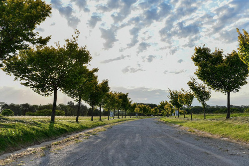 Terreno - Everlinks Golf & Country Club
