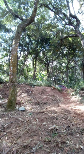 Imagem 3 de 9 de Chácara Para Venda Em Cajamar, Ponunduva - 21486_1-1925882