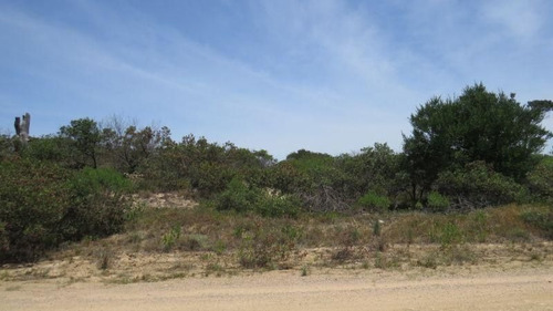 Imagen 3 de 5 de Terreno En Chihuahua Muy Cerca De La Playa
