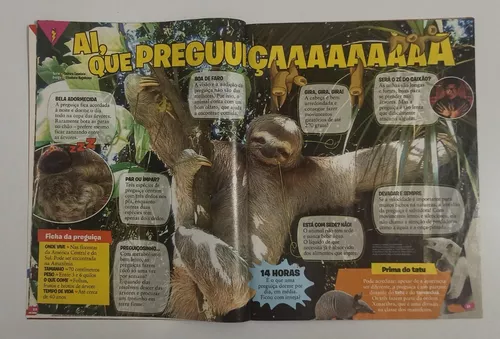 Revista Recreio Os Meninos De Carrossel Se Divertem X288