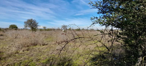 Campo Para Inversión En San Carlos