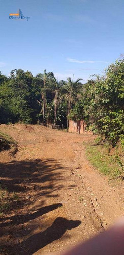 Chácara Com 1 Dormitório À Venda, 11700 M² Por R$ 420.000,00 - São Lourenço - Anápolis/go - Ch0078