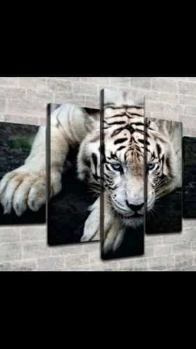 Cuadro Impreso Acrílico Decorativo Personalizar Tigre Felino