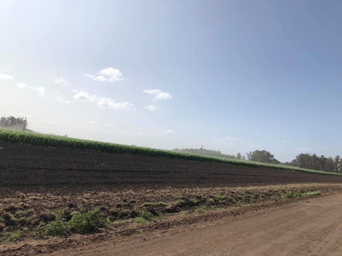 Imagen 14 de 15 de Venta 7 Hectareas Balcarce, Apto Cabañas O Quinta