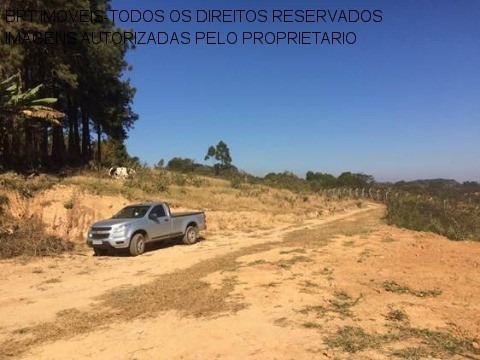 Imagem 12 de 12 de Terreno - Te00103 - 32800263