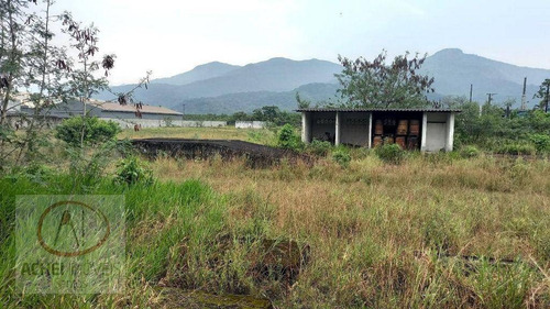Imagem 15 de 18 de Terreno À Venda, 30000 M² Por R$ 18.000.000,00 - Jardim Rio Branco - São Vicente/sp - Te0241