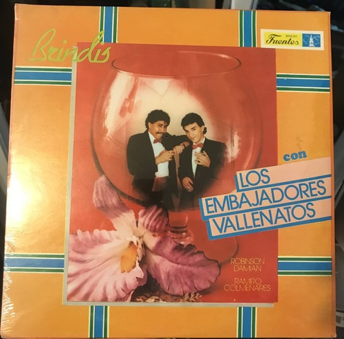 Disco Los Embajadores Vallenatos Robinson Damian-ramiro Lp