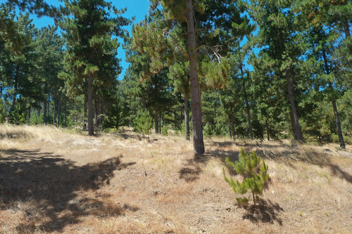 Excelente Terreno En Boyeruca