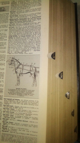 Webster's Enciclopedic Unabridged Dictionary Of The English (Usado)