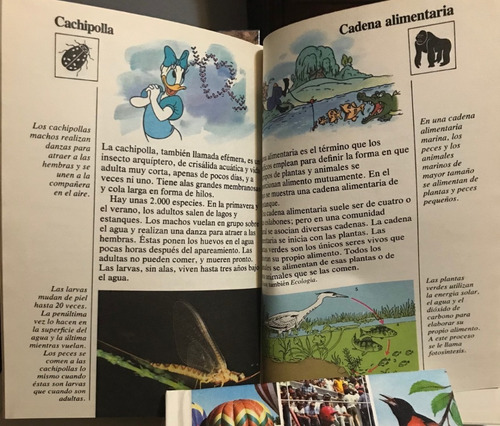 Disney Presenta Mi Primera Enciclopedia 24 Tomos