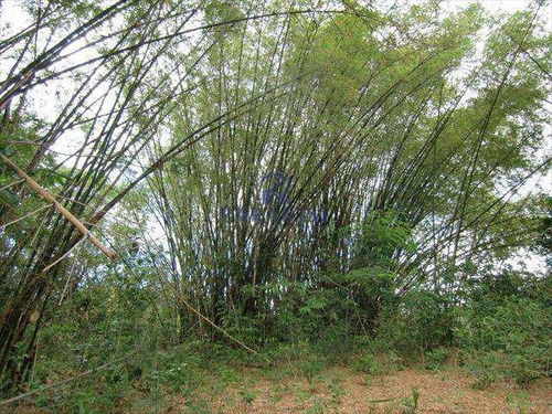 Imagem 3 de 13 de Fazenda Itacimirim (camaçari) - R$ 1.7 Mi, Cod: 22700 - V22700