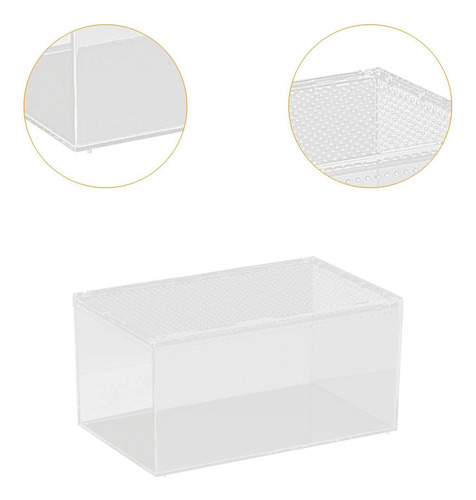 Terrario Para Reptiles Caja De Alimentación Para Reptiles