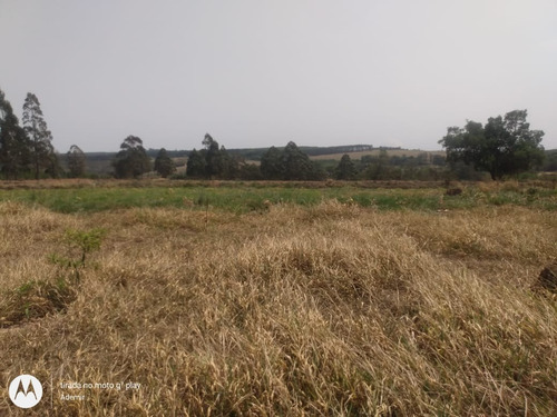 Imagem 9 de 16 de Chácara 53000m2, Lago E Poço Caipira, Sem Benfeitorias, Energia Eletrica, Apenas 2km Da Rodovia Marechal Rondon, Ótima Localização - Ch00160 - 70138661