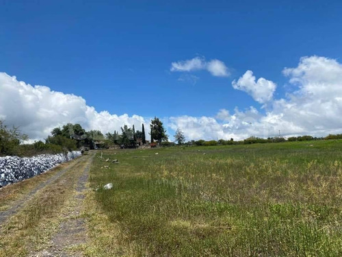 Imagen 18 de 24 de Se Vende Rancho En Hidalgo Para Inversionistas