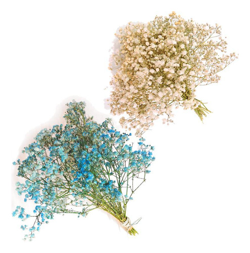 Kit 6 Mini Buquês Gypsophila Desidratados Branco Azul 18cm