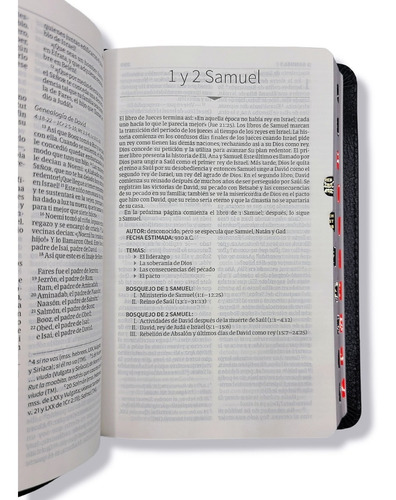 Imagen 7 de 9 de Nvi Biblia Compacta Letra Grande Negro Piel Con Indices