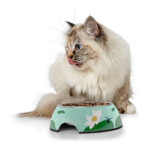 Imagen 1 de 9 de Comedero Gatos Perros Acero Inoxidable Plato Melanina S