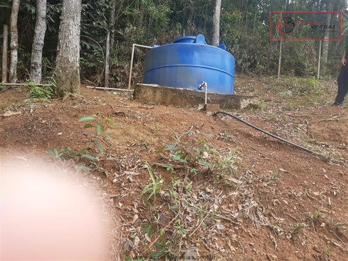 Imagem 22 de 24 de Chácaras À Venda Em Mairiporã/sp - Compre O Seu Chácaras Aqui! - 1492432