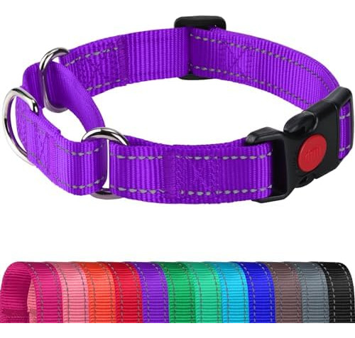 Collar Martingale Para Perros, Collar Reflectante Resistente