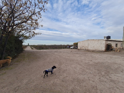 Imagen 22 de 27 de Finca Disponible En Fracciones Ideal Para Galpones O Loteo