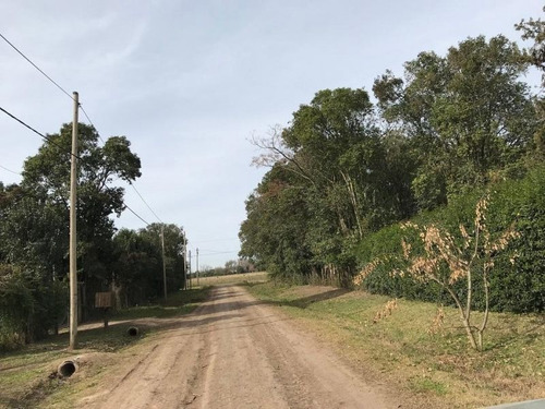 Imagen 6 de 13 de Lote | Mendoza