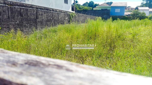 Imagem 3 de 5 de Terreno De 900m² À Venda No Jardim Santa Helena - Te1133