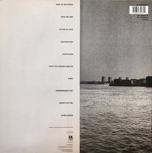 Vinilo Bryan Adams - Into The Fire (Usado)