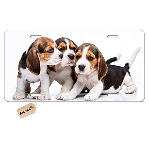 Cars License Plate   Design, Cute Pets Beagle Puppies D...