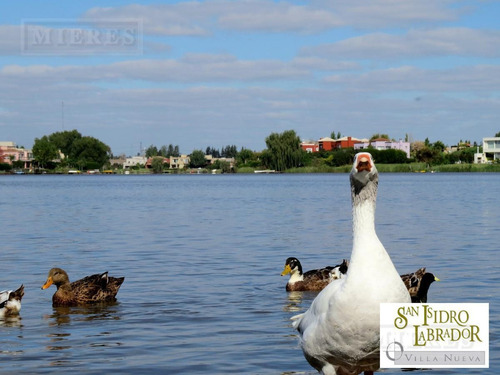 Imagen 6 de 11 de Amarra - Venta Exclusiva Propietarios San Isidro Labrador, Villanueva
