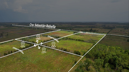 Campo En Venta Fraccionado Con Costa Al Río De La Plata