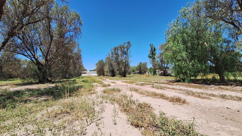 Finca-terreno En Venta En Guaymallén Pozo Surgente De Agua Apta Para Consumo